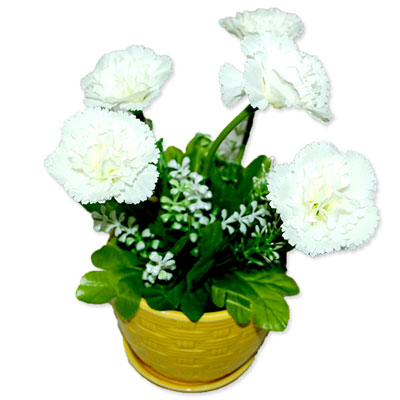 "Artificial Flower Plant -code 506-001 - Click here to View more details about this Product